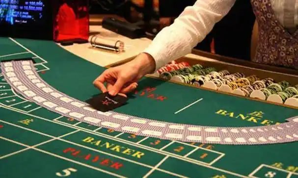 Aplikasi Web Gacor koleksi game lengkap live casino slot taruhan olahraga dalam satu tampilan